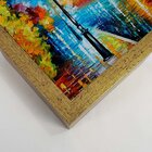 Quadro Com Moldura Rue Belle