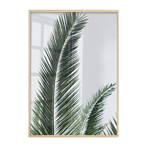 Quadro Com Vidro Para Sala Decorativo Folhagem Verde Natureza