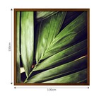 Quadro Decorativo Contemporâneo com Vidro 100x100cm Natureza Arte Própria