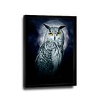 Quadro Coruja