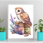 Quadro Coruja Mágica Aquarela 33x24cm - Com Vidro Moldura:mad