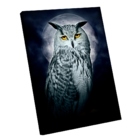 Quadro Coruja Pequeno 60x40
