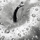 Quadro Cozinha Prata com Vidro 50x70cm Arte Própria