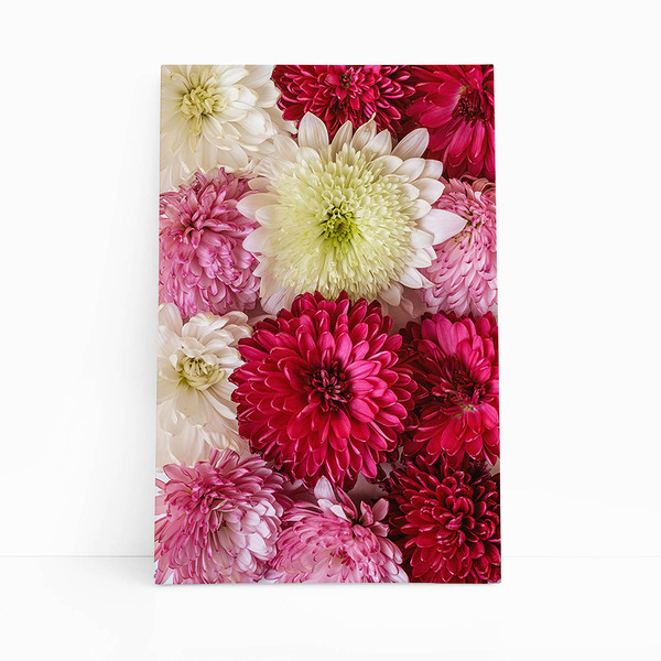Quadro Crisântemo Flores Coloridas Canvas 120x80cm