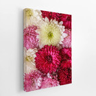 Quadro Crisântemo Flores Coloridas Canvas 120x80cm