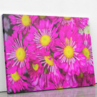 Quadro Crisântemo Roxo Fotografia Flores Canvas 120x80cm
