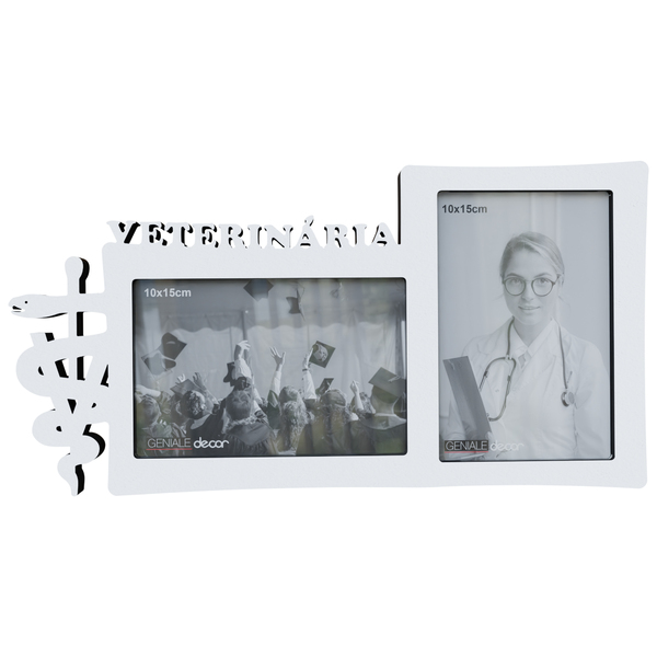 Quadro Curso Veterinária Amantes De Pet Presente Para Veterin