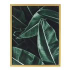 Quadro Dandy II Verde 50x40cm Inspire