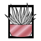 Quadro De Parede Decoração Natureza Suculentas Rose 30x26cm