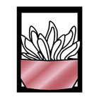 Quadro De Parede Decoração Natureza Suculentas Rose 60x45cm