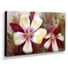 Quadro De Pintura Aquilégia 60x105cm-1597