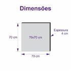 Quadro De Pintura Decorativo 70x70cm-0876