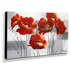 Quadro De Pintura Papoulas 60x105cm-1498