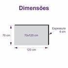 Quadro De Pintura Papoulas 70x120cm-1474