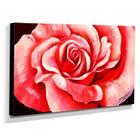 Quadro De Pintura Rosa 60x105cm-1556