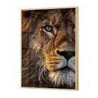 Quadro De Vidro Decorativo Grande Religioso Leão De Judá Para