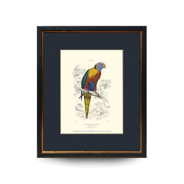 Quadro Decor Coleção Calopsita Azul