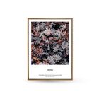 Quadro Decor Coleção Folhas Secas 2