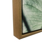 Quadro Decor Coleção Folhas Vibrantes 01