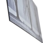 Quadro Decor Composição Floresta Negra