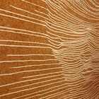 Quadro Decor Disco Man Coral