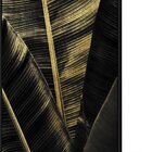 Quadro Decor Grandes Folhas 3