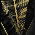 Quadro Decor Grandes Folhas 3