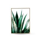 Quadro Decor Kit Coleção Cactus Espada