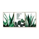 Quadro Decor Kit Coleção Cactus Espada