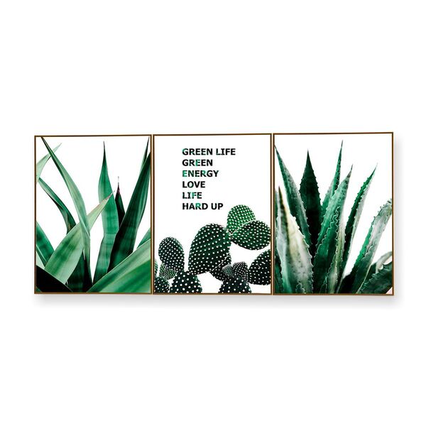 Quadro Decor Kit Coleção Cactus Espada
