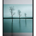 Quadro Decor Kit Ramificações C