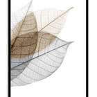 Quadro Decor Kit Trama De Folhas A