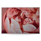 Quadro Decor O Botão De Rosa