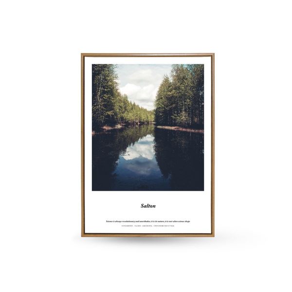 Quadro Decor O Lago Espelhado Leroy Merlin