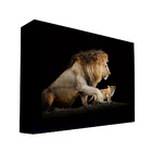 Quadro Decorativo 100x70 Cm Leão 012 Com Moldura Laqueada Pre