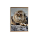 Quadro Decorativo 100x70 Cm Leão 018  Com Moldura Laqueada Pr