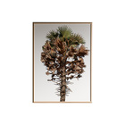 Quadro Decorativo 135x135 Cm Árvore 017 Com Moldura Laqueada