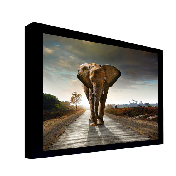 Quadro Decorativo 135x135 Cm Elefante 058 Com Moldura Laquead