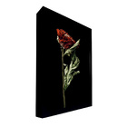 Quadro Decorativo 135x135 Cm Flor 039 Com Moldura Laqueada Pr