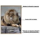 Quadro Decorativo 135x135 Cm Leão 018 Com Moldura Laqueada Pr