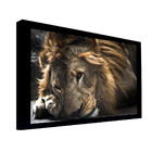 Quadro Decorativo 135x135 Cm Leão 032 Com Moldura Laqueada Pr