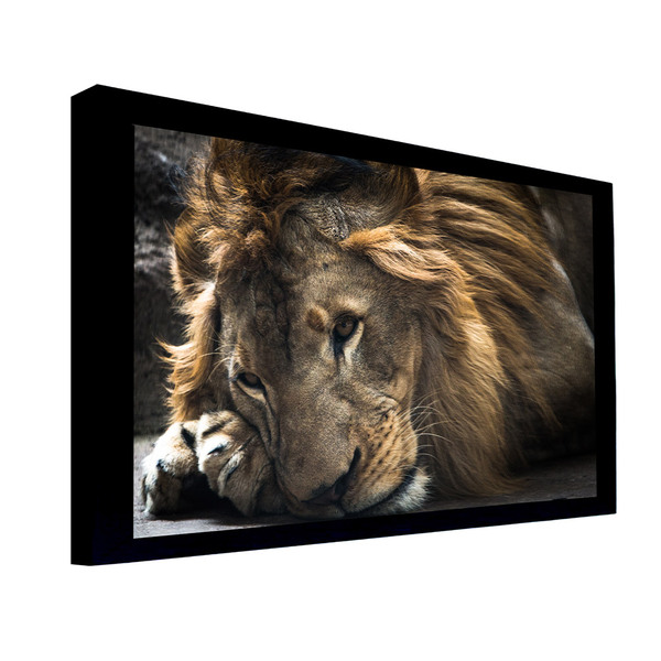 Quadro Decorativo 135x135 Cm Leão 032 Com Moldura Laqueada Pr