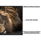 Quadro Decorativo 135x135 Cm Leão 032 Com Moldura Laqueada Pr