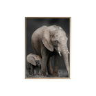 Quadro Decorativo 135x80 Cm Elefante 015 Com Moldura Laqueada