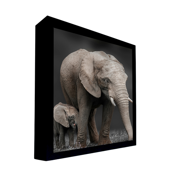 Quadro Decorativo 135x80 Cm Elefante 015 Com Moldura Laqueada