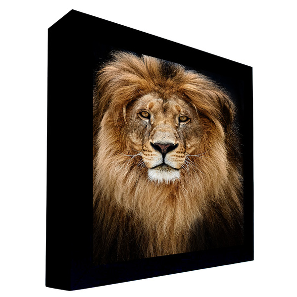 Quadro Decorativo 135x80 Cm Leão 002 Com Moldura Laqueada Pre