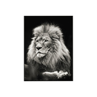 Quadro Decorativo 135x80 Cm Leão 008 Com Moldura Laqueada Pre