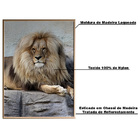 Quadro Decorativo 135x80 Cm Leão 018 Com Moldura Laqueada Pre