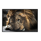 Quadro Decorativo 135x80 Cm Leão 032 Com Moldura Laqueada Pre