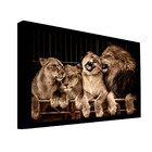 Quadro Decorativo 135x80 Cm Leão 051 Com Moldura Laqueada Pre